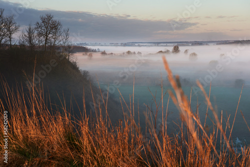 Trees growing on the escarpment above the misty valley of the Wieprz River