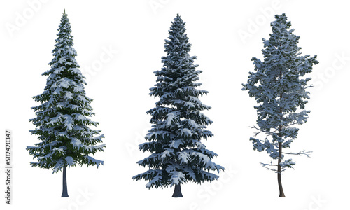 Pine Spruce Fir snow tree set alpha channel png
