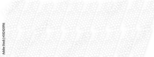 Abstract hexagon geometric surface. Background with hexagons. Abstract background with lines . white texture background. Modern Abstract vector illustration. Poster, wallpaper, Landing page. hexagon.