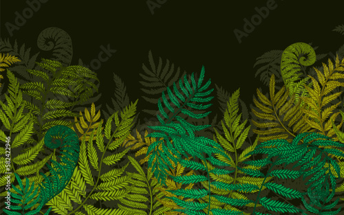 Seamless horizontal vector pattern of fern bushes