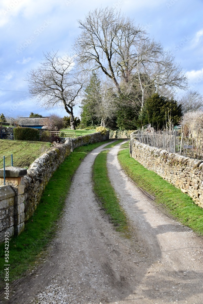 Farm track between stone walls with trees behind. Derbyshire, England, UK. October 2023. 
