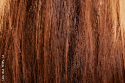 Haircare, texture and beauty closeup of woman with breakage, keratin or hairstyle problem. Dry, macro and female model with messy hair, frizzy or hairloss, damaged or tangled after salon treatment.