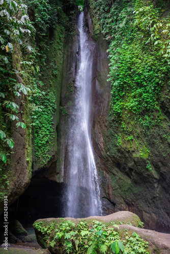The rushing leke leke waterfall surrounded by many green plants and leaves in the jungle of bal indonesia.