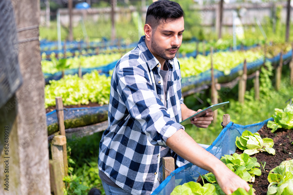 Farmer using digital tablet in the vegetable farm organic smart farm control by science technology Farmer using digital tablet in the vegetable farm organic smart farm control by science technology