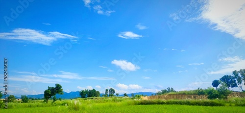 Besutiful sky combination with grasses and Farming site