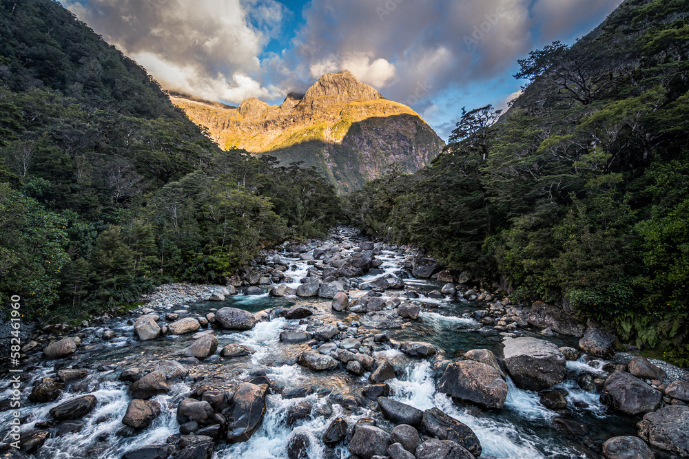 views of fiordland national park in new zealand