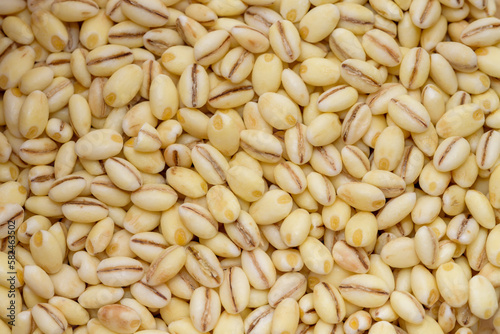 Close up of pearl barley