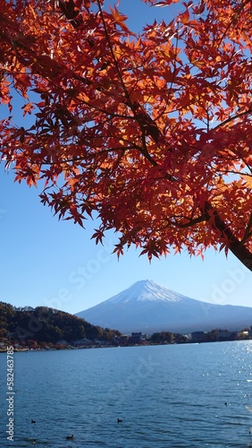 紅葉と富士山