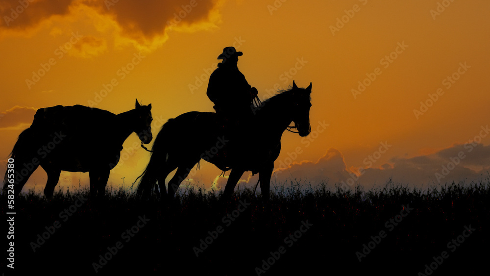 Cowboy with pack horse silhouette