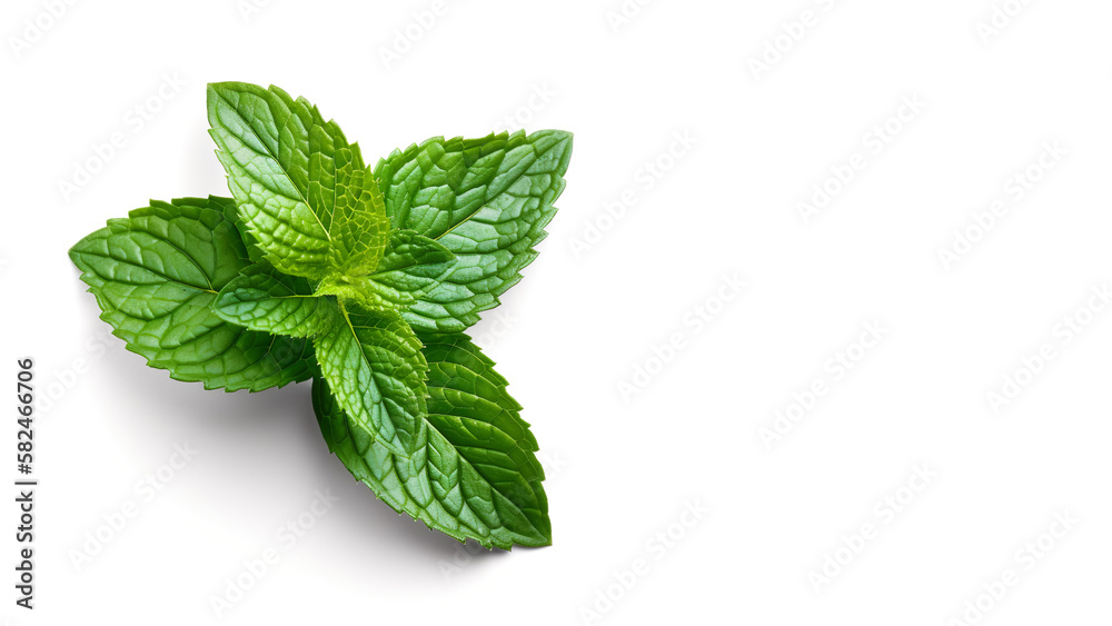 A bunch of mint leaves on a white background, Generative Al A bunch of mint leaves on a white background, Generative Al