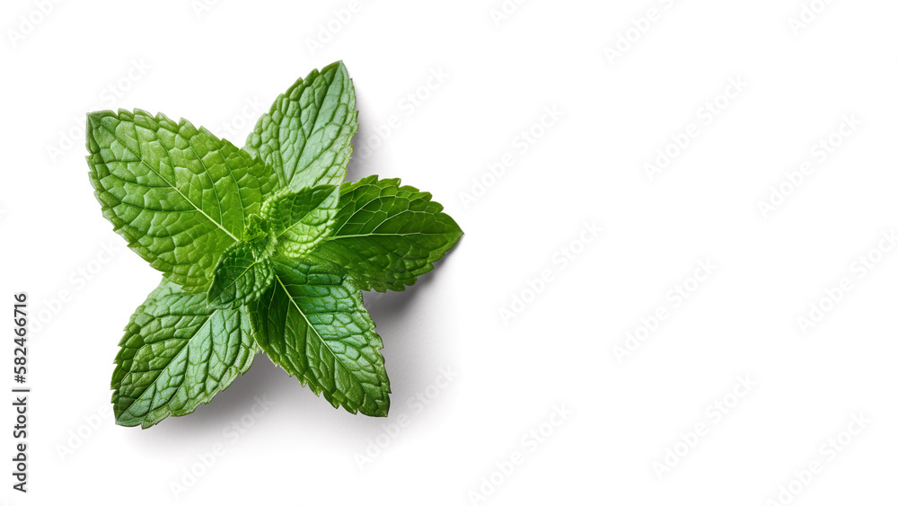 A bunch of mint leaves on a white background, Generative Al