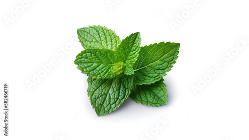 A bunch of mint leaves on a white background, Generative Al
