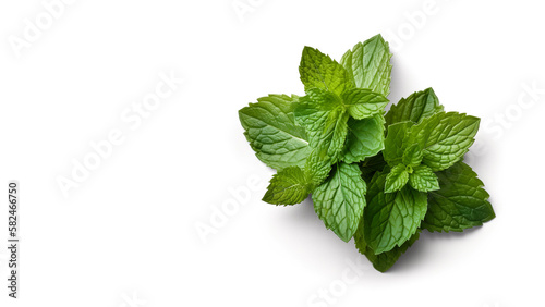 A bunch of mint leaves on a white background, Generative Al