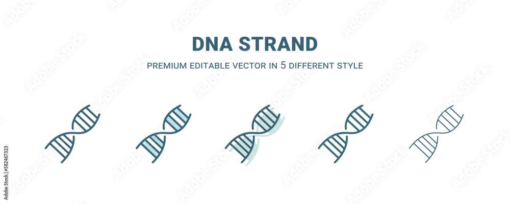 dna strand icon in 5 different style. Outline, filled, two color, thin dna strand icon isolated on white background. Editable vector can be used web and mobile