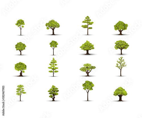 Trees icon set isolate on the white background. Ready to apply to your design. Vector illustration.