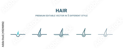 hair icon in 5 different style. Outline, filled, two color, thin hair icon isolated on white background. Editable vector can be used web and mobile