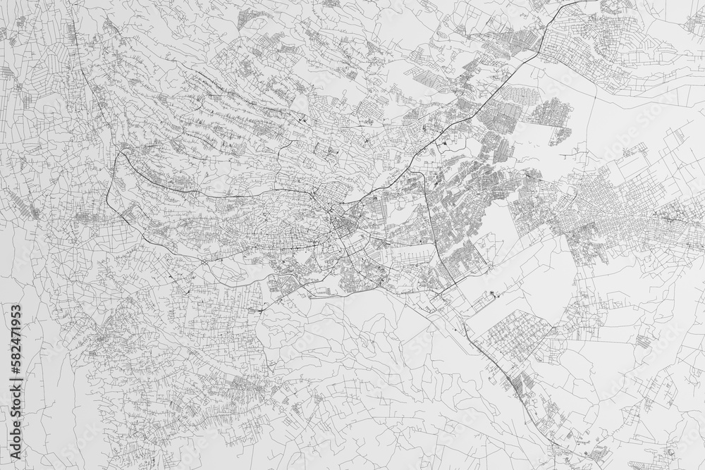 Map of the streets of Nairobi (Kenya) on white background. 3d render, illustration