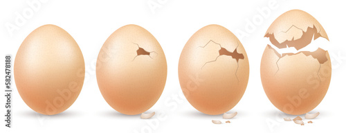 Farm Eggs Realistic Concept