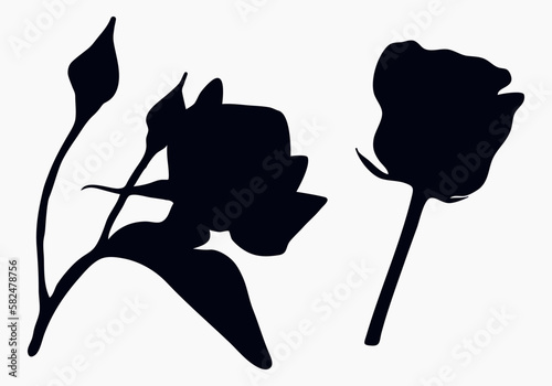 Real modern silhouettes plants, herbs. Drawing flowers begonia. Bud rose