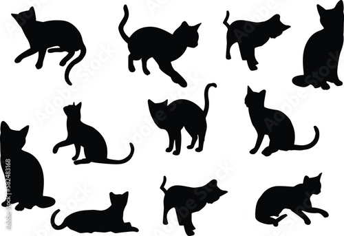 Fototapeta Naklejka Na Ścianę i Meble -  silhouettes of cats