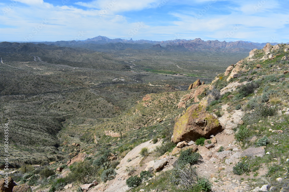 Spring in the Superstition Mountains, View off Picketpost Mountain 