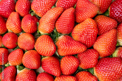 Close up ripe red strawberries, top view. Background of freshly picked strawberries