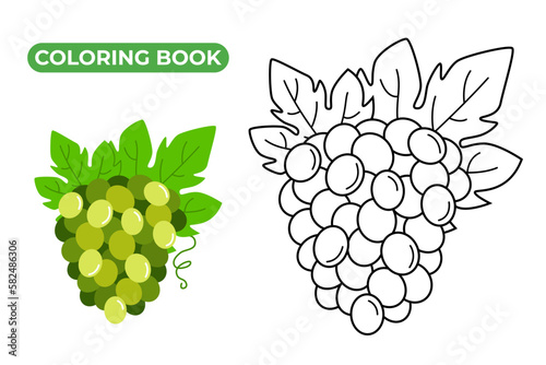 Bunch of green grapes. Vector illustration of ripe dessert. Black and white linear drawing of berries of grapes with leaves. Tropical fruit icon. Vine coloring page for kids.