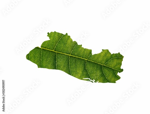 El Salvador map made of green leaves on soil background ecology concept