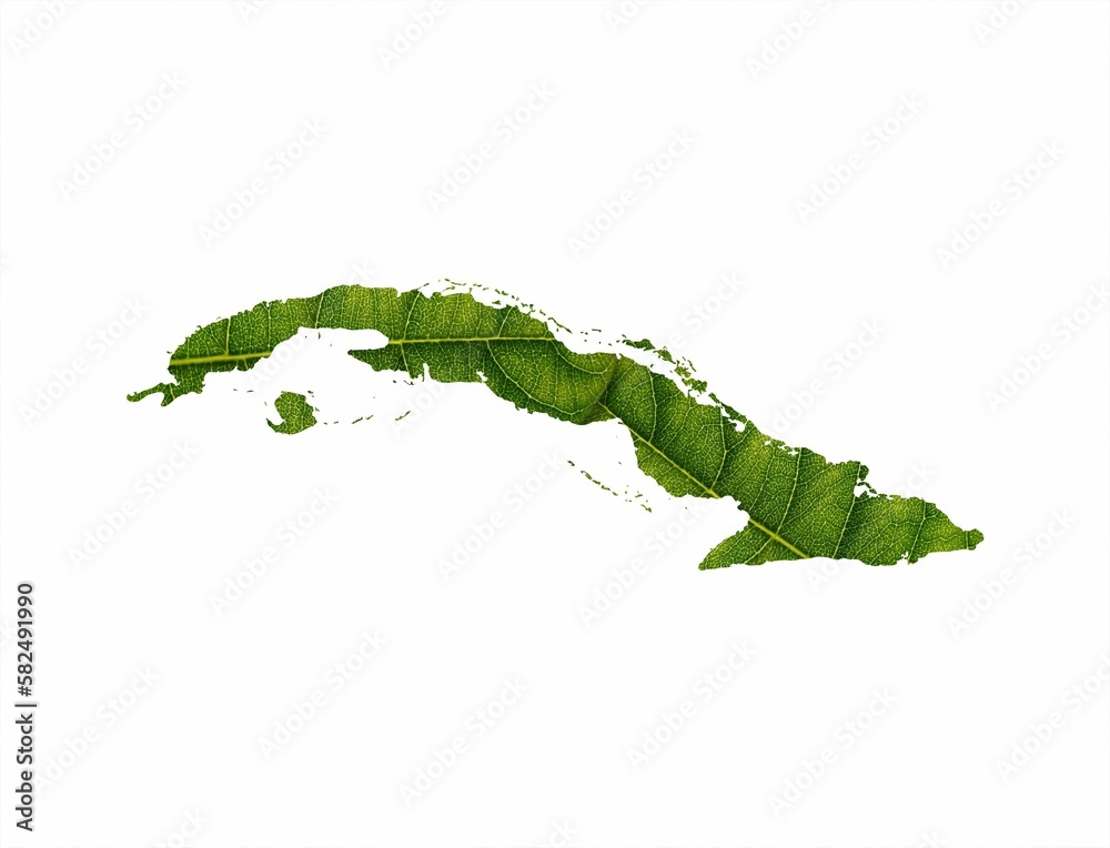 Naklejka premium 3D illustration of Cuba map made of green leaf on white background - concept of ecology