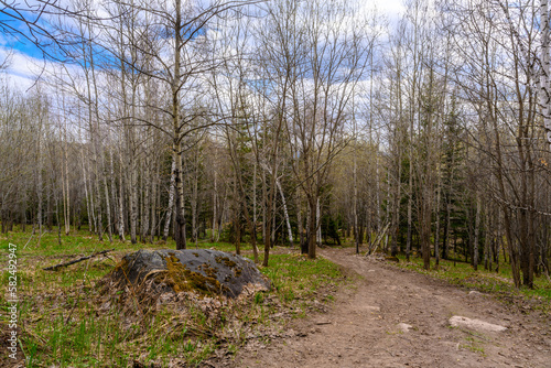 South Ural forest road with a unique landscape, vegetation and diversity of nature.