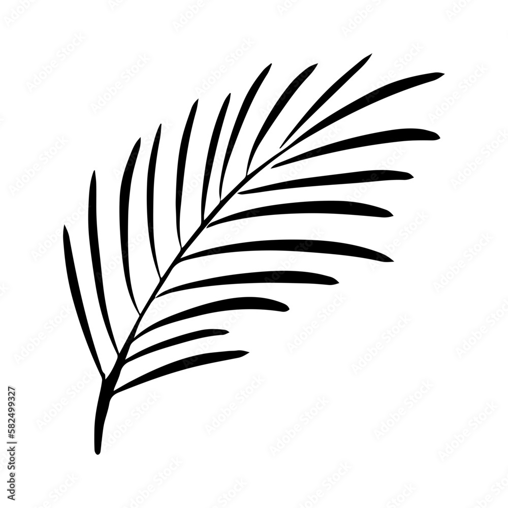 Fototapeta premium leaves branch element