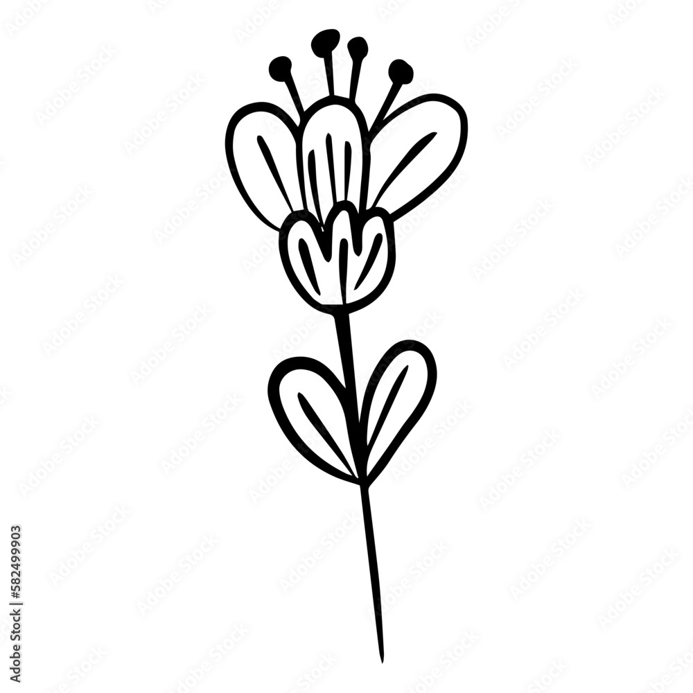 flower floral element flower floral element
