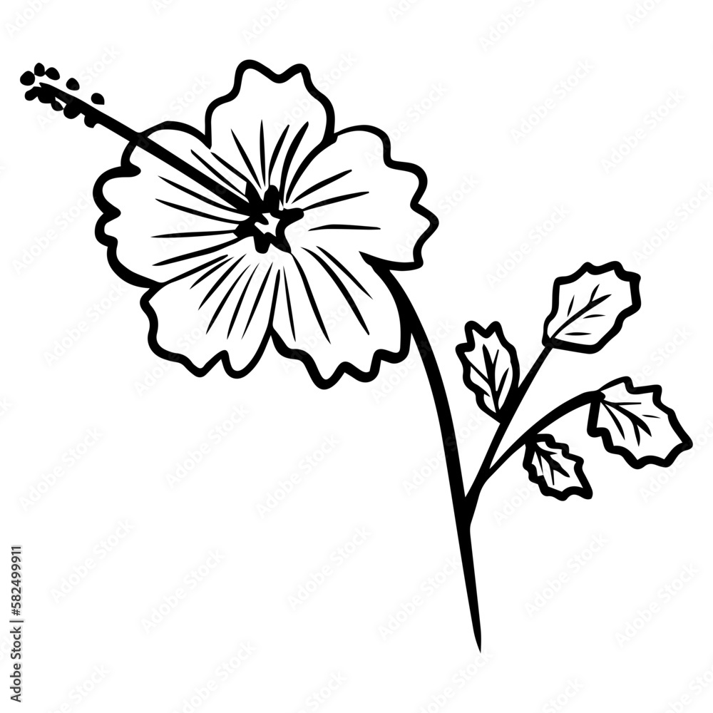 Obraz premium flower floral element