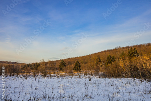 winter landscape in the countryside