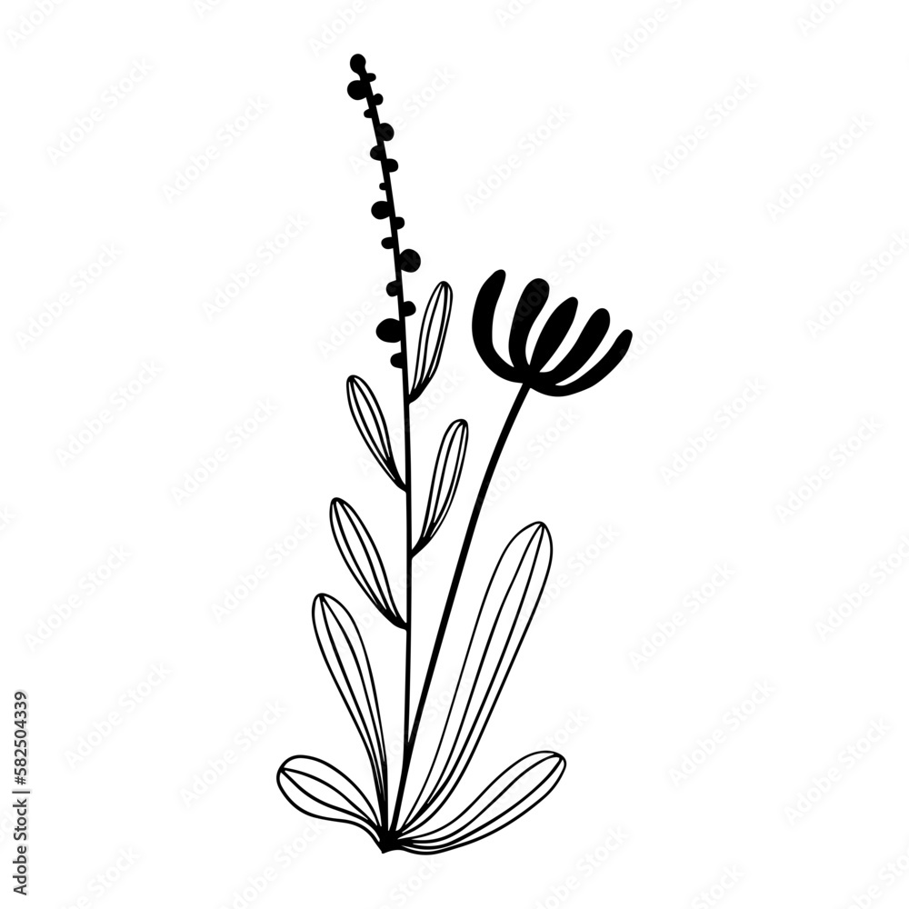 hand drawn floral flower element hand drawn floral flower element