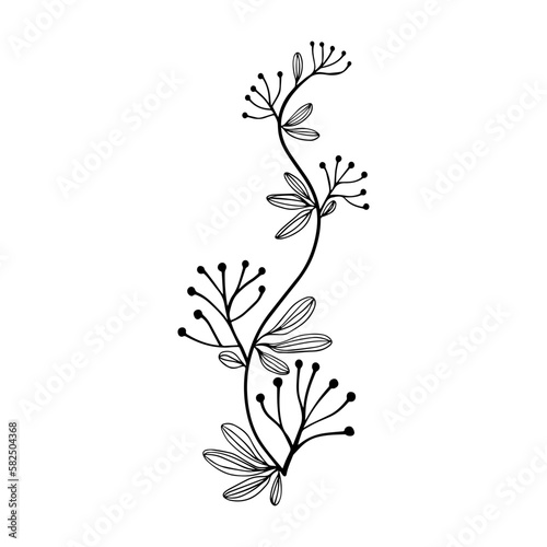 hand drawn floral flower element