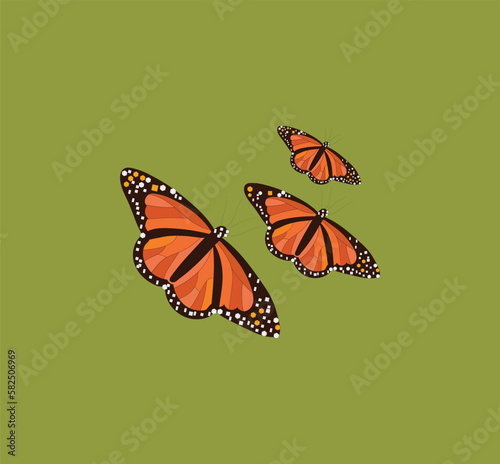 Three beautiful butterflies vector art work.
