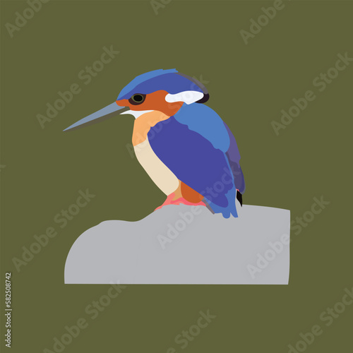 A Kingfisher is waiting patiently  to catch fish.