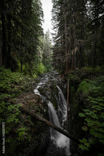 Vertical shot of Sol Duc Falls. Olympic National Park  state of Washington  USA.