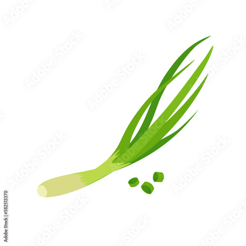 Spring green onion. Chopped chives. Healthy food. Vector illustration in trendy flat style isolated on white background.