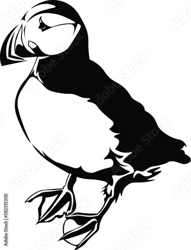 Black and White Cartoon Illustration Vector of a Puffin Bird