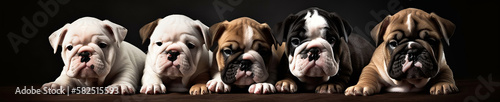 5 Bulldog Puppies, Created with generative AI