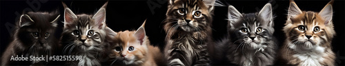 6 Maine Coon kittens, Created with generative AI