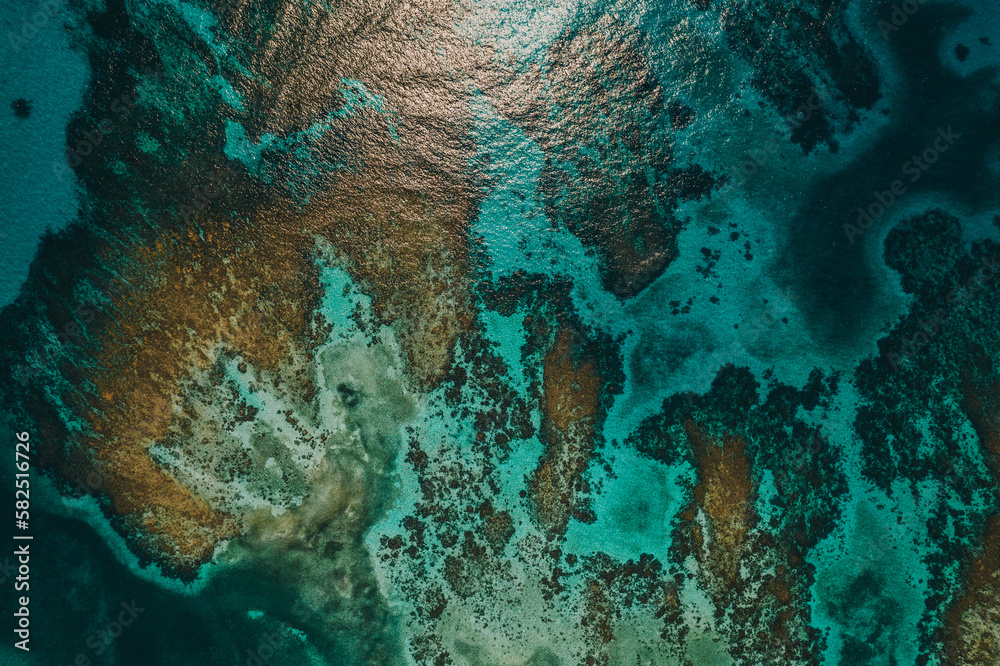 Fototapeta premium Aerial photos of the Silk Cayes in the Gladden Spit and Silk Cayes Marine Reserve located in the southern waters of Belize.