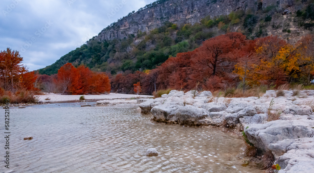 Fototapeta premium Autumn landscape. Swamp cypress and other trees with yellow foliage along the riverbank. Texas, Garner State Park, USA