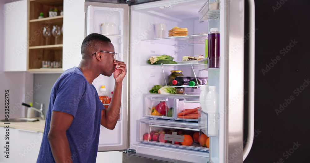 Rotten Food Bad Smell Or Stink In Refrigerator Rotten Food Bad Smell Or Stink In Refrigerator