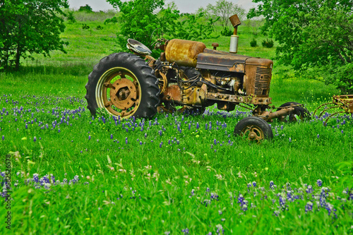 Old Tractor in Bluebonnet Field