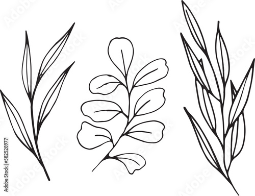 Hand drawn set of different leaves isolated on white background. Monochrome floral elements, plant parts vector sketch for logos, postcards, tattoos, design and corporate identity.