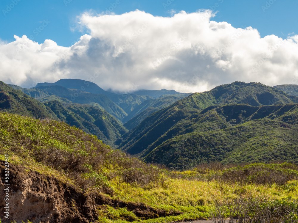 Hawaiian Volcanic Lush Green Valley