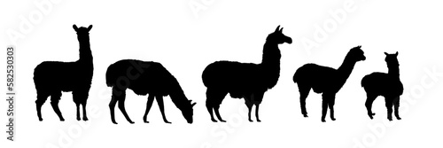 Set of llama silhouette, alpaca silhouette - vector illustration photo